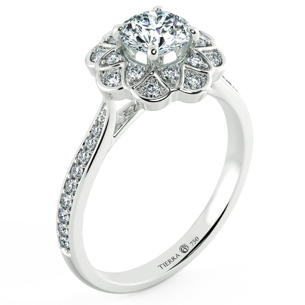 Image Related Product