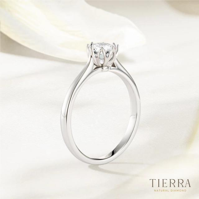 Nhẫn đính hôn kim cương Cathedral Floral đai trơn NCH1513