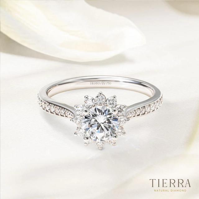 Nhẫn đính hôn kim cương Halo hoa tuyết lớn đai tấm NCH2006