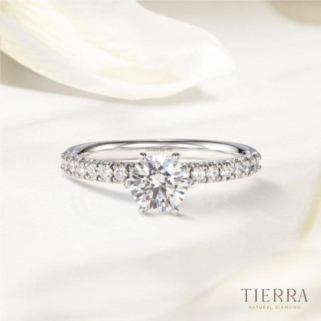 Nhẫn đính hôn kim cương Solitaire Pavé 6 chấu NCH1203