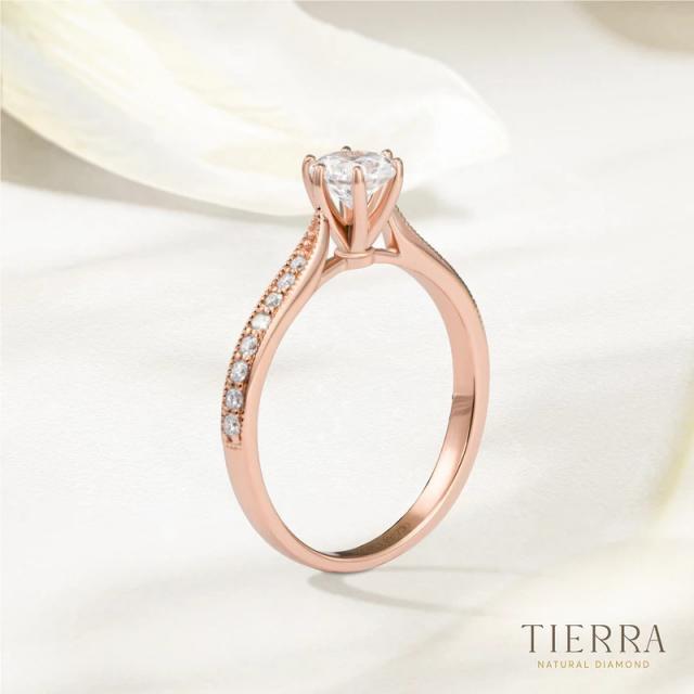 Nhẫn đính hôn kim cương Solitaire Pavé 6 chấu viền bi NCH1204