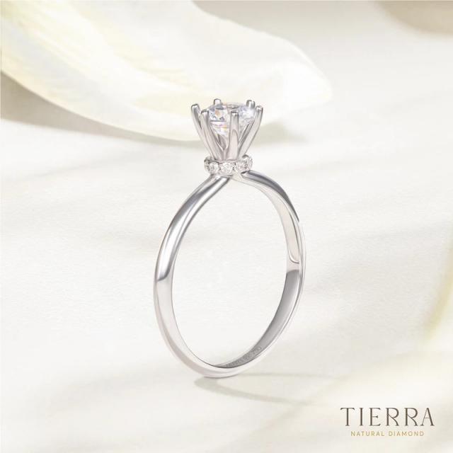 Nhẫn đính hôn kim cương Solitaire trơn có vòng cổ xoàn NCH1303