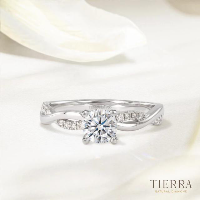 Nhẫn đính hôn kim cương Twist 1 đai tấm NCH1701