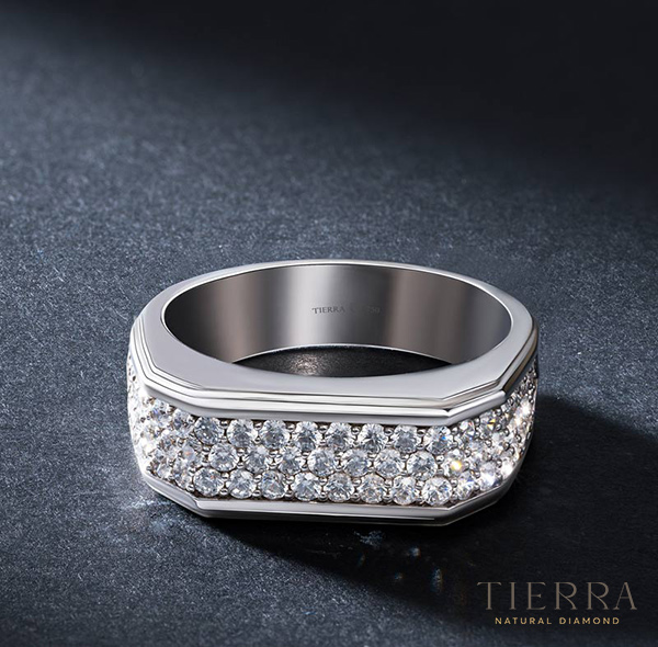 Mẫu nhẫn nam kim cương NNA2310 -