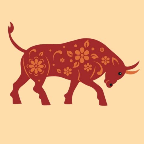 Sinh năm 1997 mệnh gì? tuổi con gì?